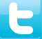 View Twitter Profile